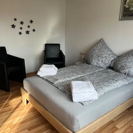 Zentrumsnahe Helle Apartment Sigmaringen